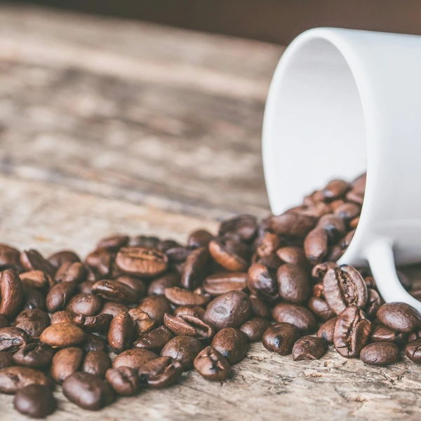 Barista bereitet Kaffee an einer Siebträgermaschine zu